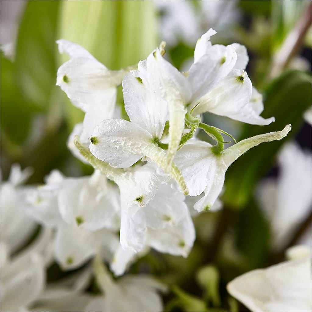 Classic Ivory – A Florist Original –  Colonial Flower Shoppe, Somers CT