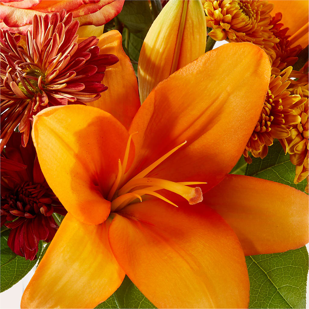 Autumnal Aroma Bouquet –  Colonial Flower Shoppe, Somers CT