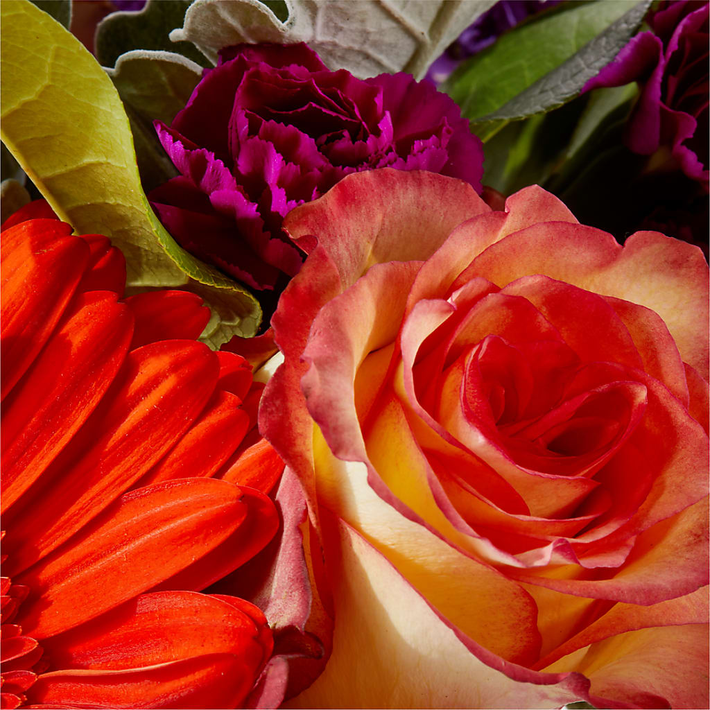 Sangria Bouquet –  Colonial Flower Shoppe, Somers CT