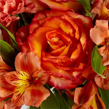 Apricot Glow Bouquet –  Colonial Flower Shoppe, Somers CT