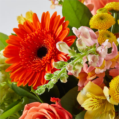 Autumn Sunshine Bouquet –  Colonial Flower Shoppe, Somers CT
