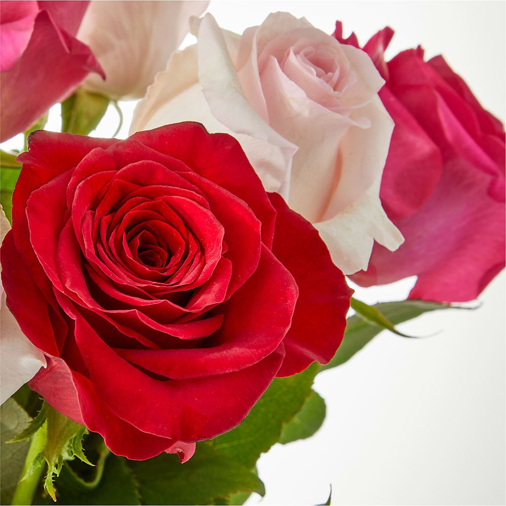 Charming Rose Bouquet –  Colonial Flower Shoppe, Somers CT
