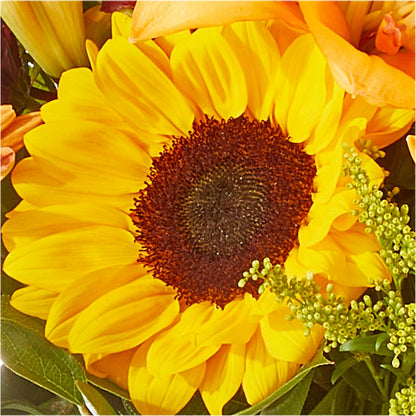 Seasons Change Bouquet –  Colonial Flower Shoppe, Somers CT