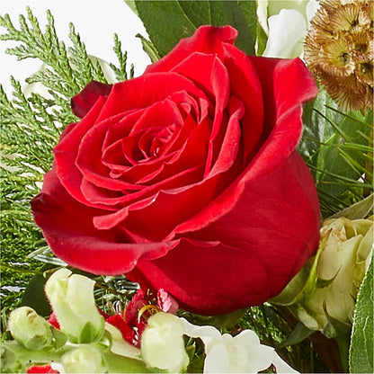 Deck the Halls Bouquet –  Colonial Flower Shoppe, Somers CT