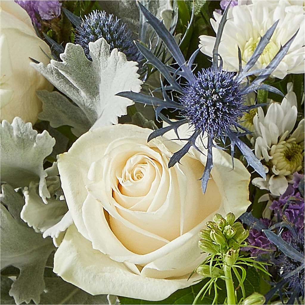 Shooting Star Bouquet –  Colonial Flower Shoppe, Somers CT