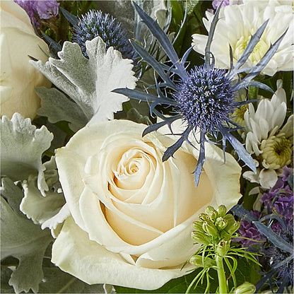 Shooting Star Bouquet –  Colonial Flower Shoppe, Somers CT