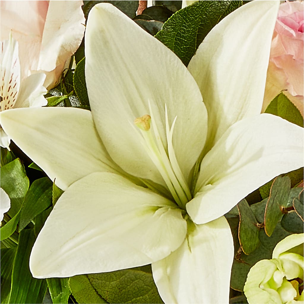 Ballet Slippers Bouquet –  Colonial Flower Shoppe, Somers CT