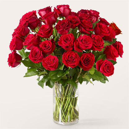 The One Red Rose Bouquet –  Colonial Flower Shoppe, Somers CT