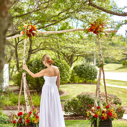 Arbor of Love Archway –  Colonial Flower Shoppe, Somers CT