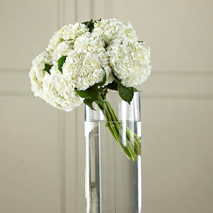 White Hydrangea Hand-Tied Bouquet –  Colonial Flower Shoppe, Somers CT