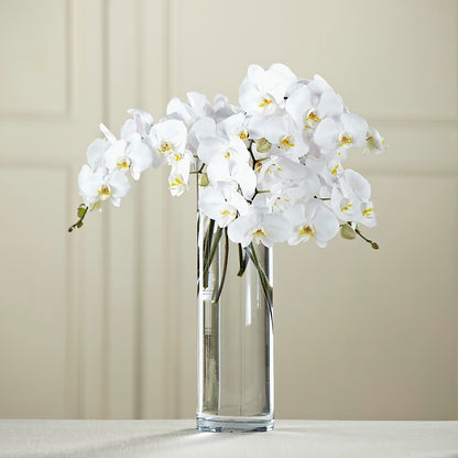 White Phalaenopsis Bouquet –  Colonial Flower Shoppe, Somers CT