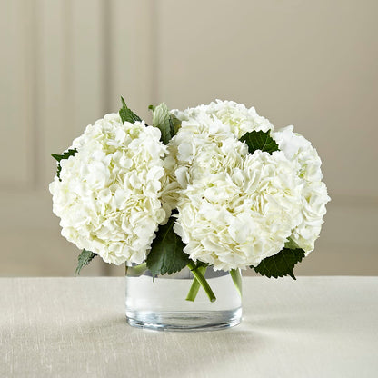 White Hydrangea Bouquet –  Colonial Flower Shoppe, Somers CT