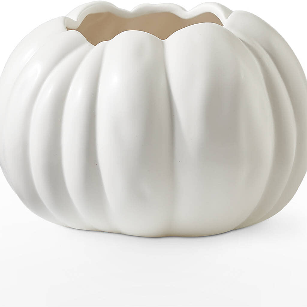 Pumpkin to Talk About Bouquet –  Colonial Flower Shoppe, Somers CT